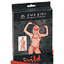 Joyce-Jones-The-Wild-Tamer - 95140-BX - The wild tamer kit contains a face mask, whip and g-string